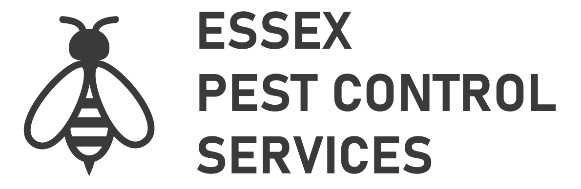Essex Pest Control Services